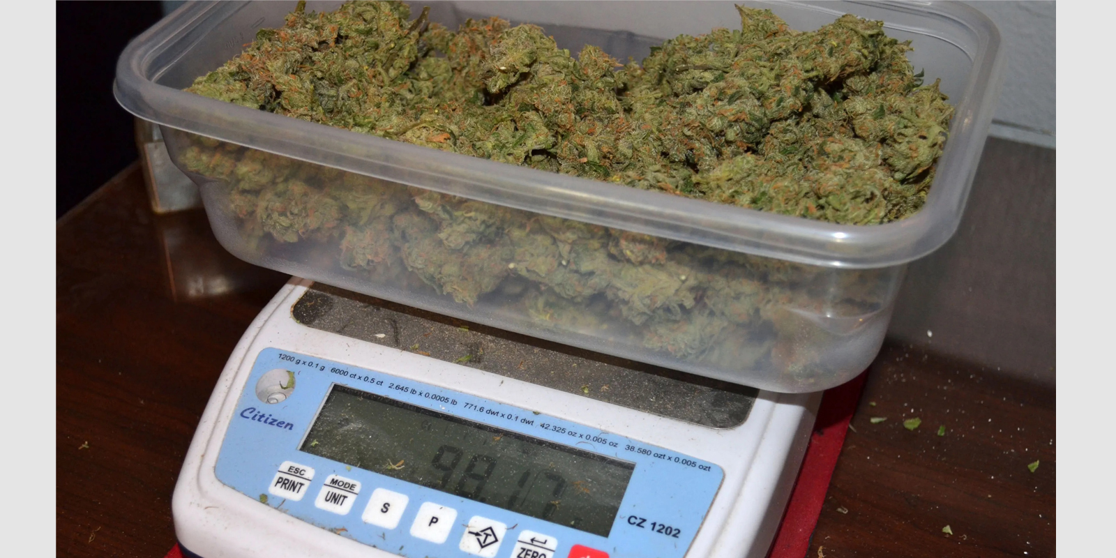Что будет за 10 кг марихуаны уголовная статья за выращивание конопли