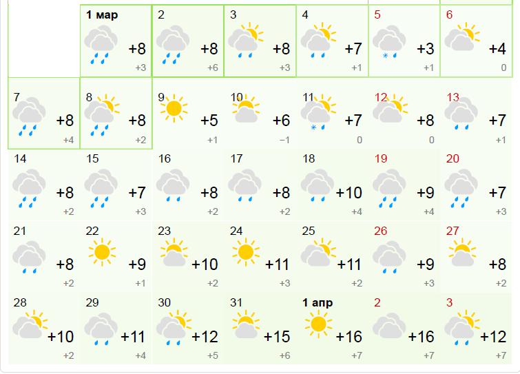 Погода в тимашевске рп5. Краснодар погода весной. Краснодарский край погода в марте. Как погода в Тимашевске. Погода на март 2023 в Краснодаре.