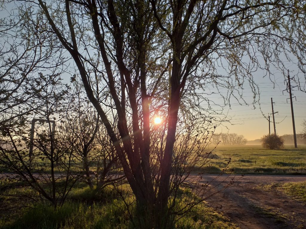 Весеннее равноденствие 2020. Равноденствие в природе. Весеннее равноденствие природа. Москва март солнце. Весеннее солнцестояние.